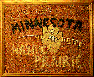 [Adele B. Minnesota Native Prairie image]