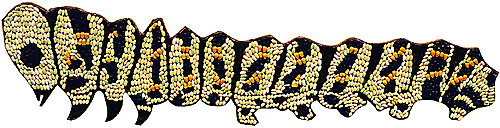 [Cathy C. Caterpillar image]