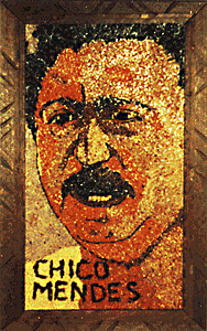 [Cathy C. Chico Mendes image]