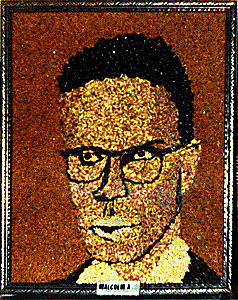 [Cathy C. Malcolm X image]