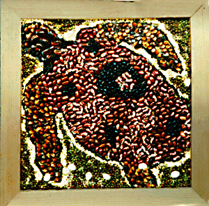 [Cathy C. Turtle image]