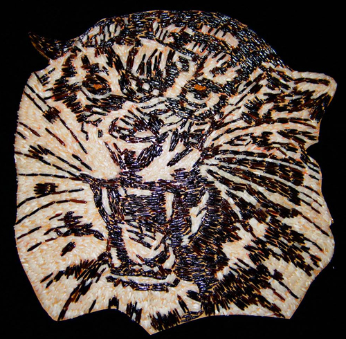 [Cathy Tiger, Tiger image]