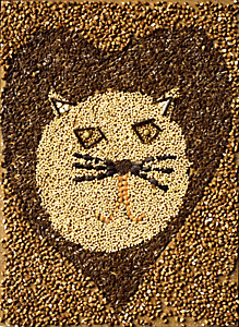 [Elana D. Kitty image]