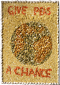 [Elana D. Peace image]