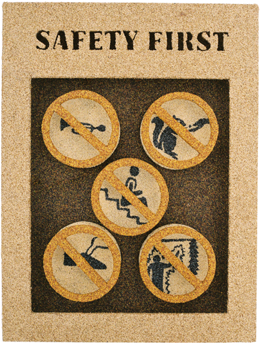 [Mark Dahlager Safety First image]