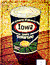 [David Steinlicht Iowa Can Laurie DeMartino image]