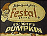 [David Steinlicht Festal 2000 Golden Pie Pumpkin image]