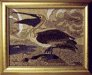 [Delores D. Audubon Pelican image]