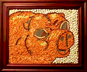 [Heidi R. Some Pig  image]