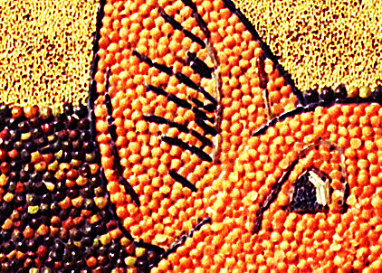 [Heidi R. Pork in Beans Close-up image]