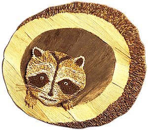 [Lillian C. Racoon image]