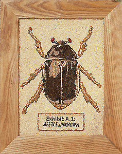 [Roz S. Beetle image]
