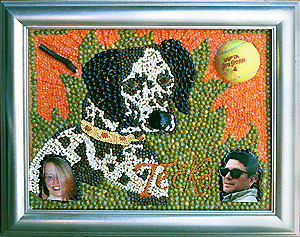 [Sandy F-B Tecka image]