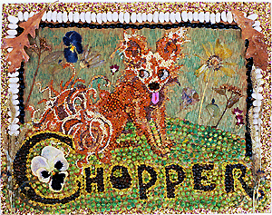 [Sandy F-B Chopper image]