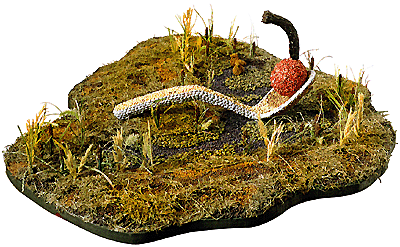 [Steve D. Spoonbridge image]