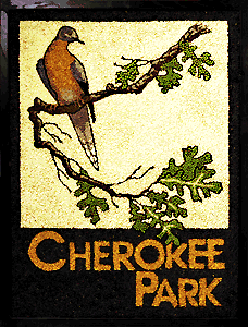 [Tom K. Passenger Pigeon image]