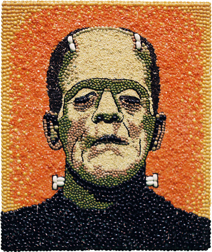 [Elizabeth Schreiber Frankenstein image]