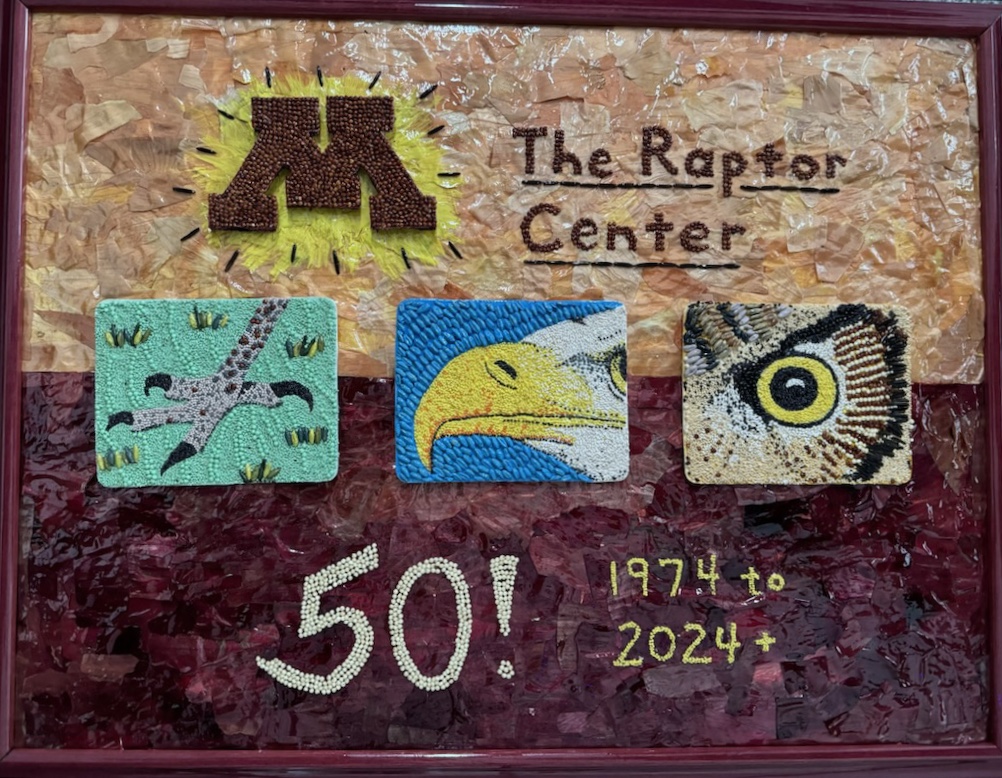 Joel Alter | Raptor Center 50th Birthday