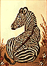 [Lillian
Colton Zebra image]