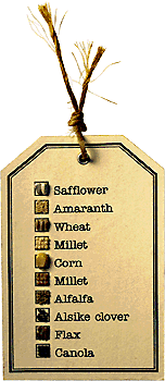 [Linda K Seed Legend Card]