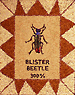 [Roz Stendahl Blister Beetle image]