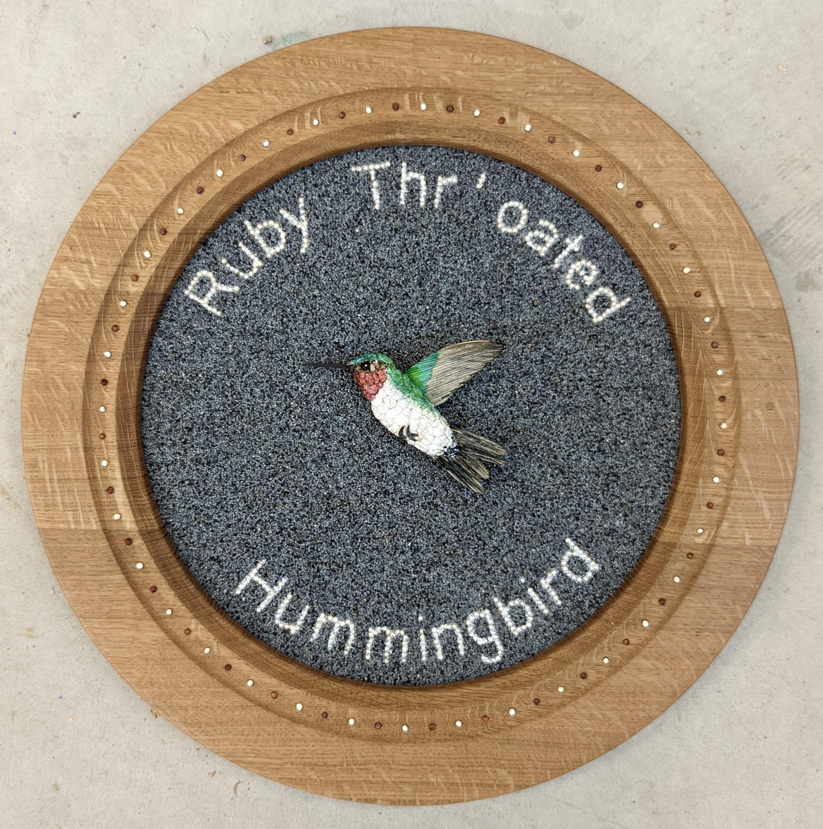 [Tony Pfaff Ruby Thr'oated Hummingbird image]